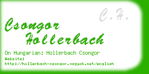 csongor hollerbach business card